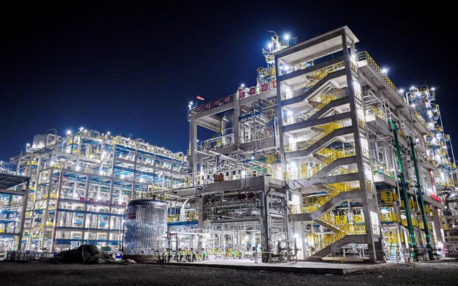 中國石化巴陵石化分公司己內(nèi)酰胺項(xiàng)目自備電廠.jpg